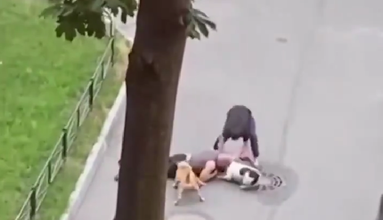 VIDEO | Dueño protege a su perro de ser atacado