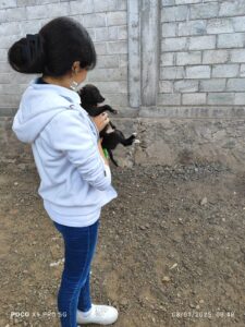 Estudiantes del Colegio San Patricio visitan la Dirección de Protección y Cuidado Animal