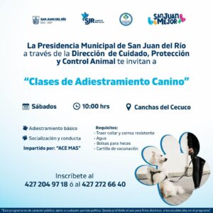 Clases de Adiestramiento Canino en San Juan del Río