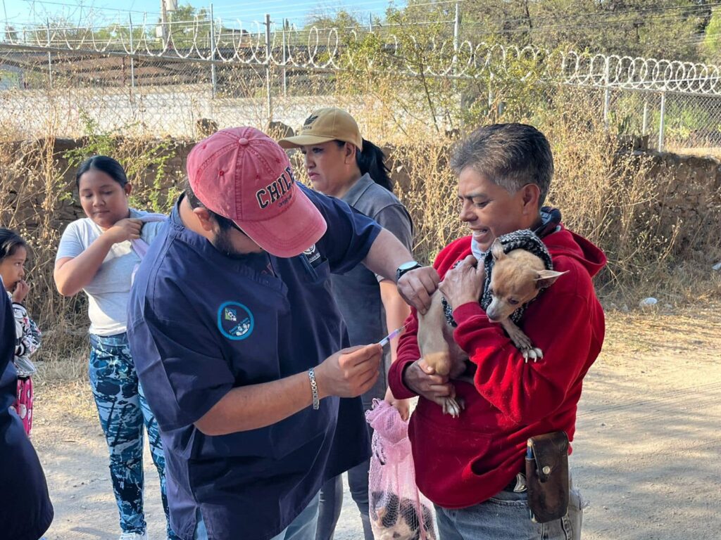 Jornada de vacunación antirrábica en Guadalupe de las Peñas