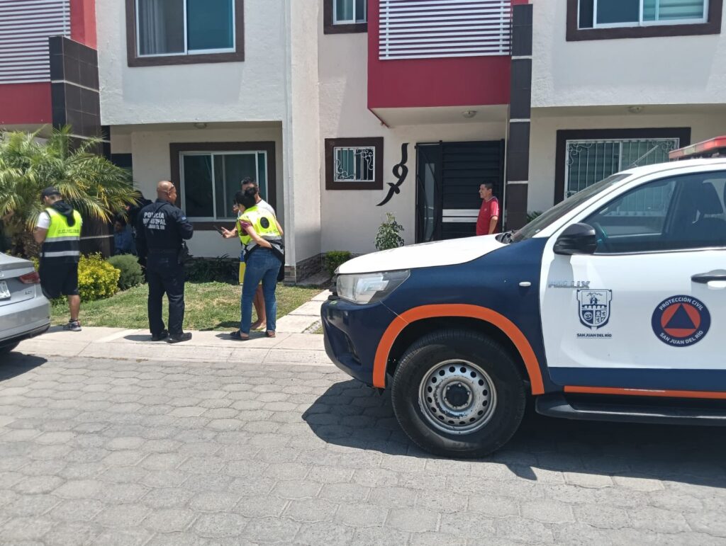 Atienden autoridades municipales el reporte de un mono araña en fraccionamiento de San Juan del Río