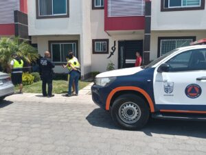 Atienden autoridades municipales el reporte de un mono araña en fraccionamiento de San Juan del Río