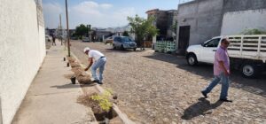 Reforestan la 3ra. Sección de Haciendas de San Juan con apoyo de la comunidad