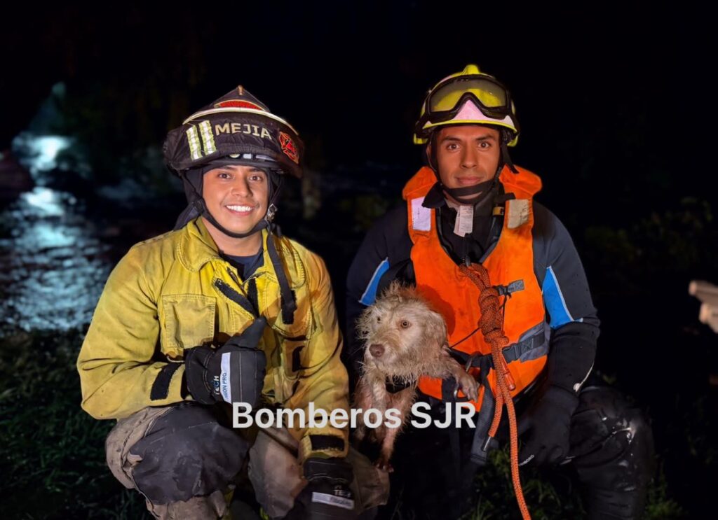 Bomberos rescatan con éxito a perrito en la ribera del río San Juan