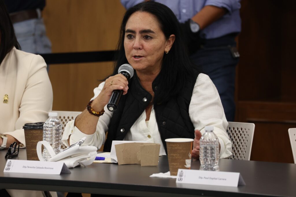 Fundamental coordinar esfuerzos para atender a la población afectada por las recientes lluvias: Tere Calzada