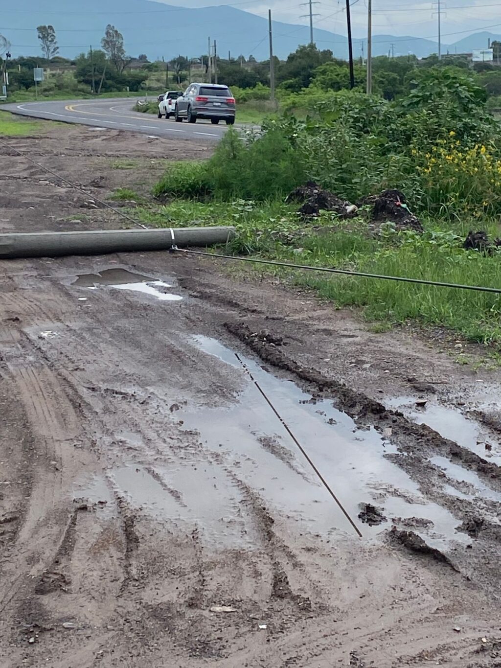 Llama la diputada Tere Calzada a CFE a reforzar las acciones preventivas y de atención inmediata