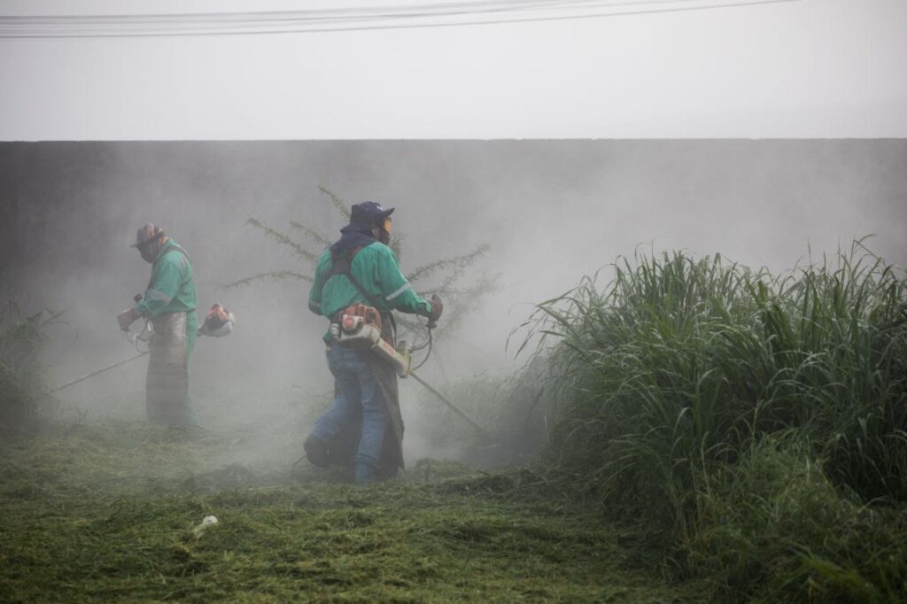 whatsapp image 2025 07 21 at 1.28.04 pm