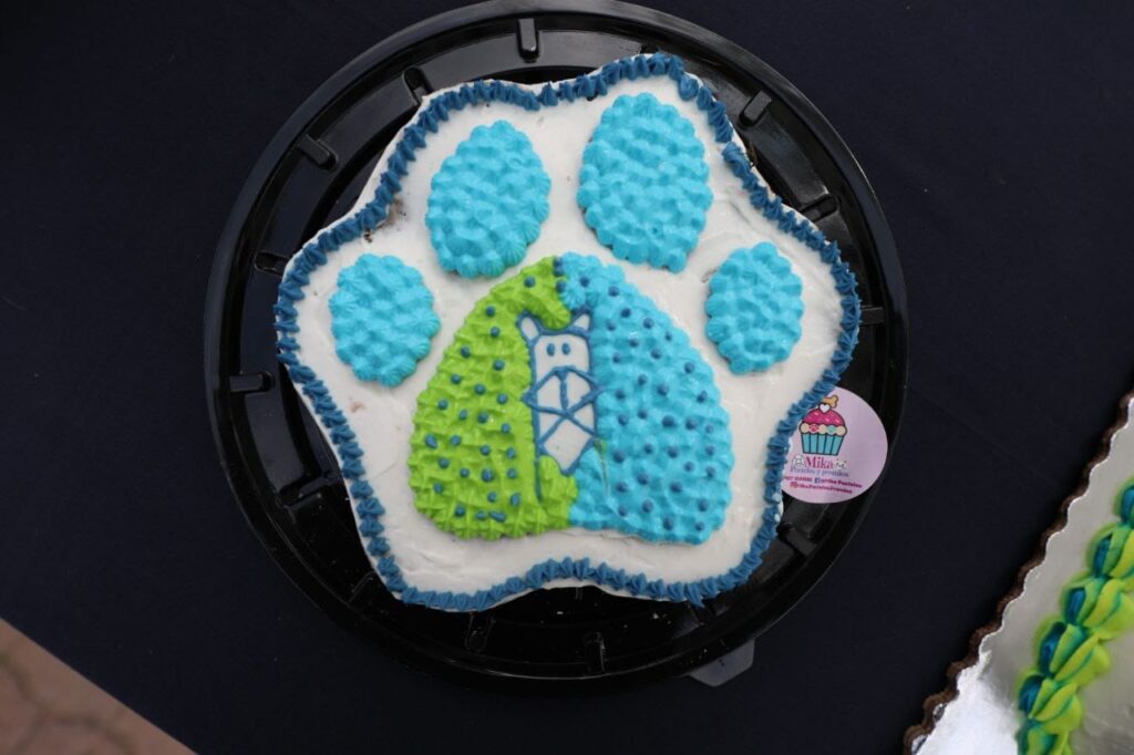 whatsapp image 2025 07 26 at 3.04.18 pm