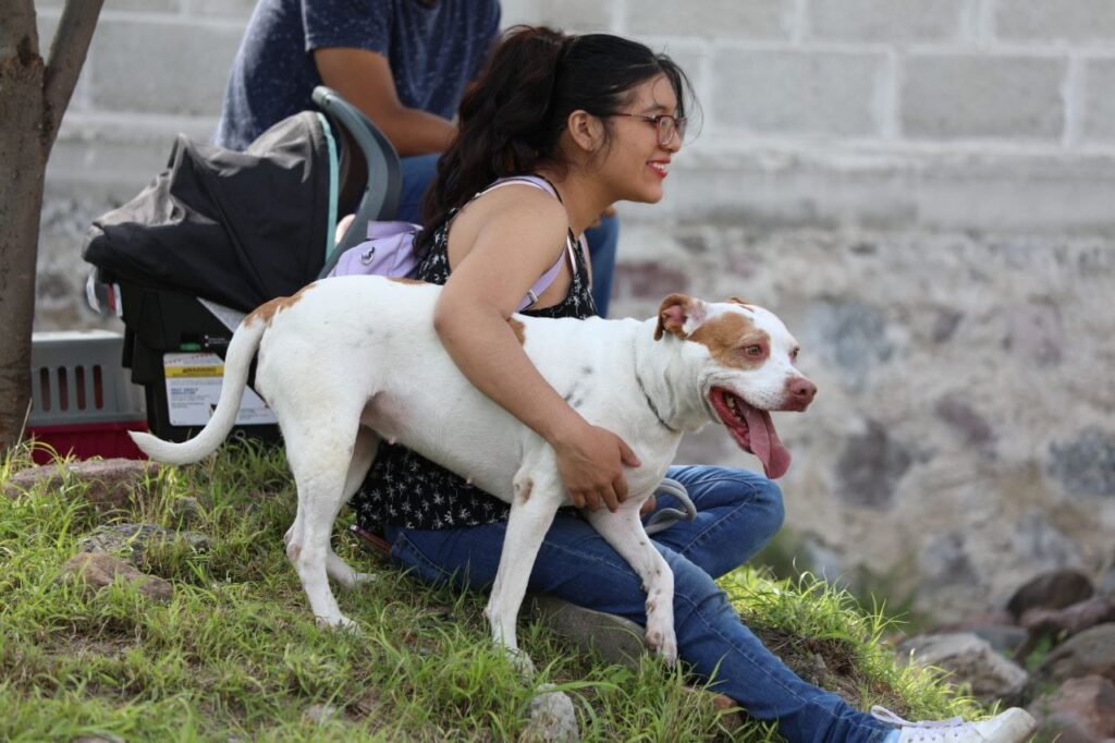 whatsapp image 2025 07 26 at 3.04.20 pm