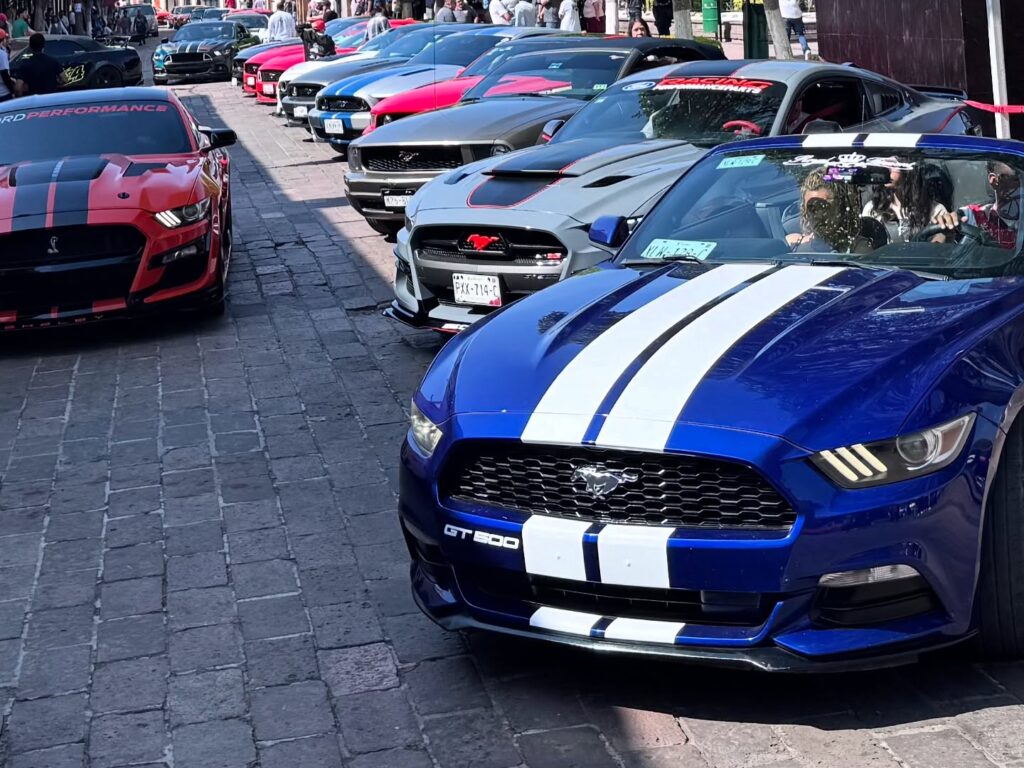 527482595 17878835985369223 8773171726194898846 n