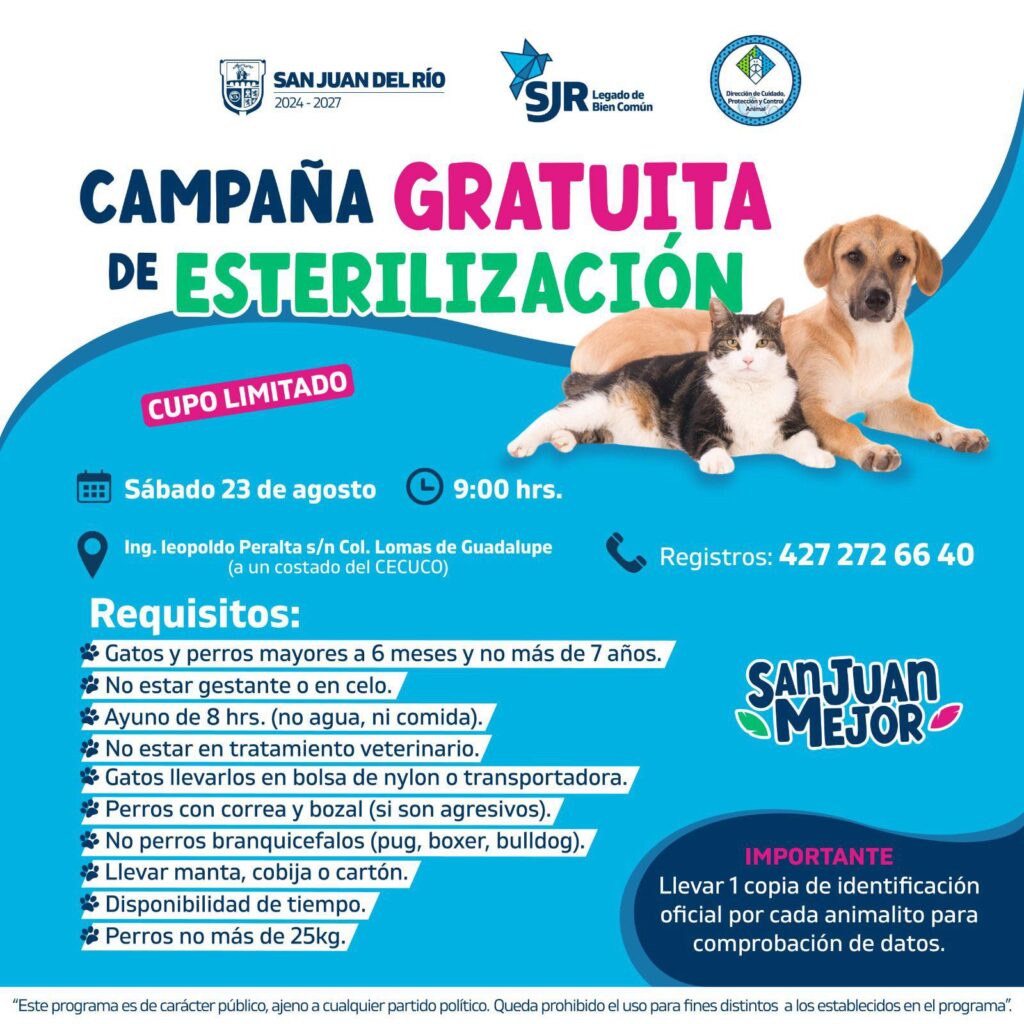 San Juan del Río invita a la tercera campaña de esterilización masiva gratuita para perros y gatos