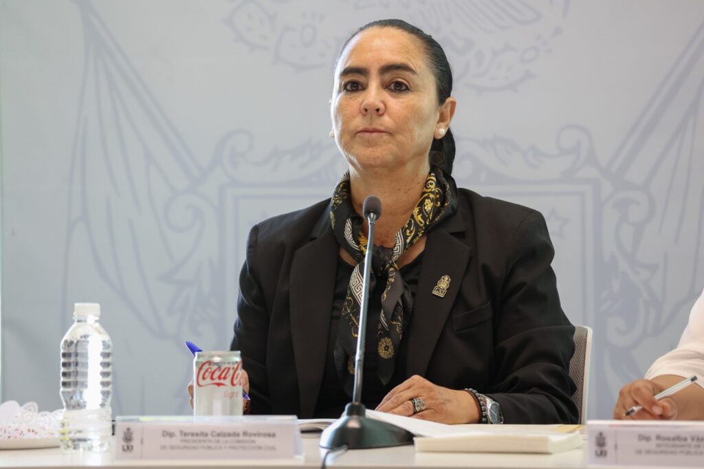 Reconoce diputada Tere Calzada labor de corporaciones de auxilio tras fuertes lluvias en Querétaro