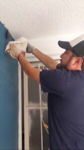 Rescatan a murciélago en la colonia El Pedregoso