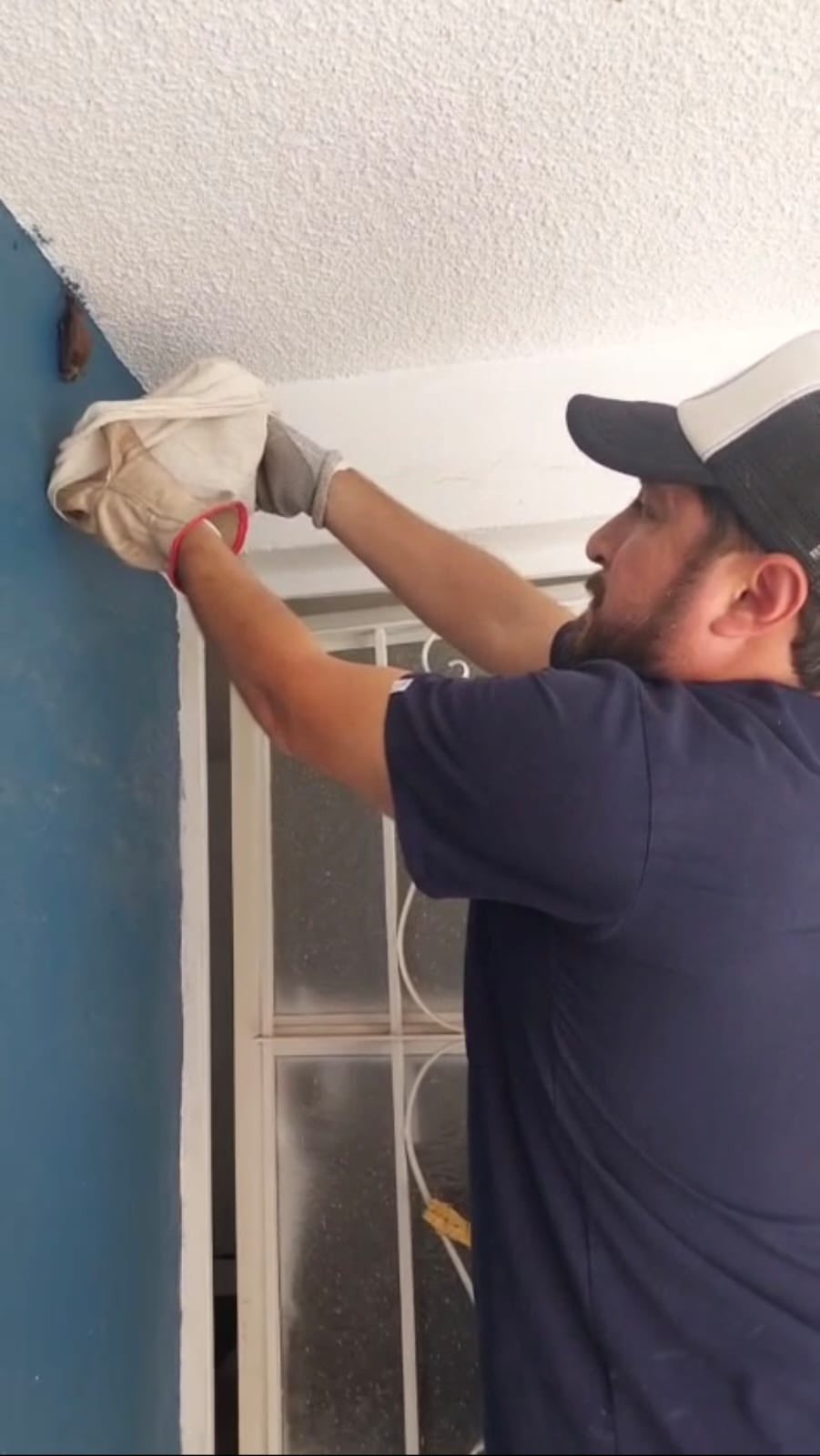 Rescatan a murciélago en la colonia El Pedregoso