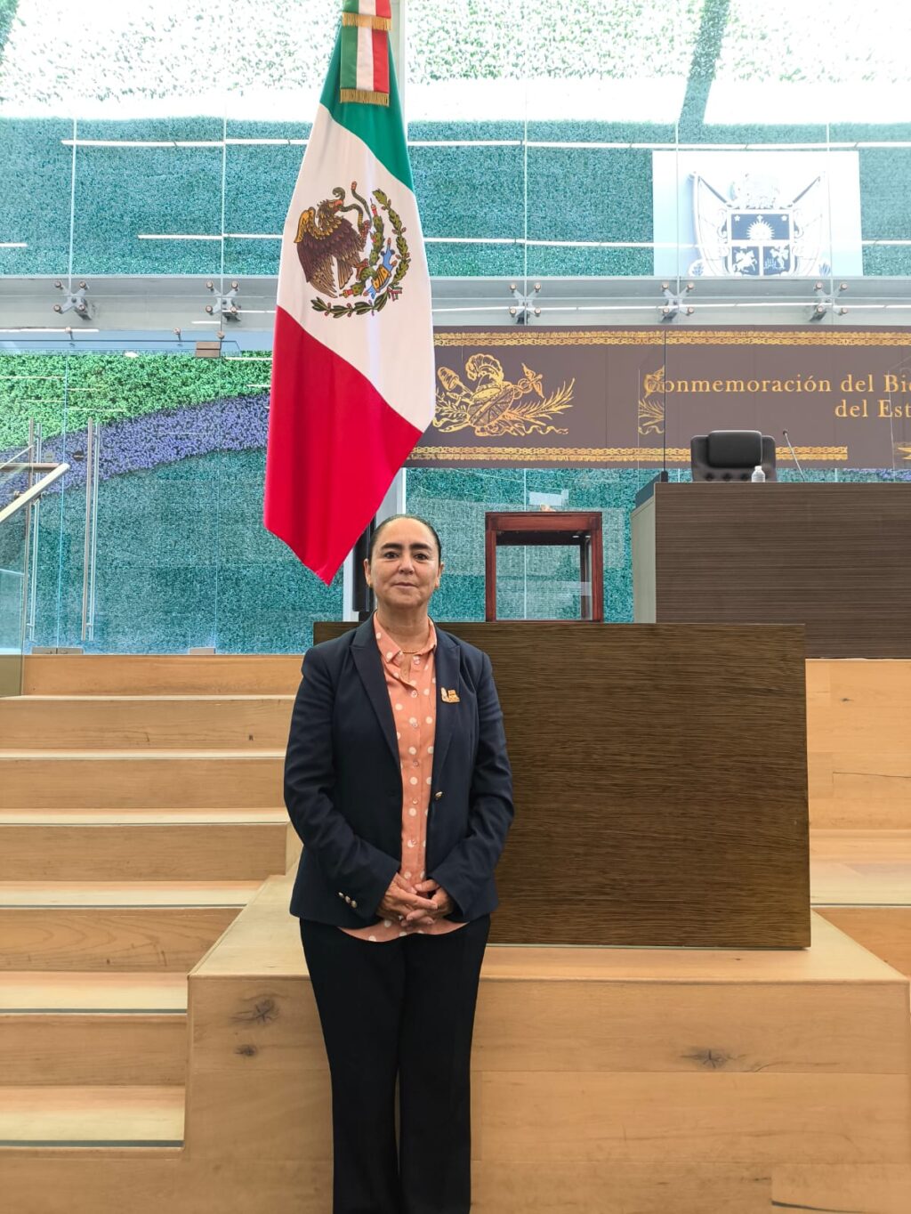 Posicionamiento de la Diputada Tere Calzada Rovirosa