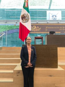 Posicionamiento de la Diputada Tere Calzada Rovirosa