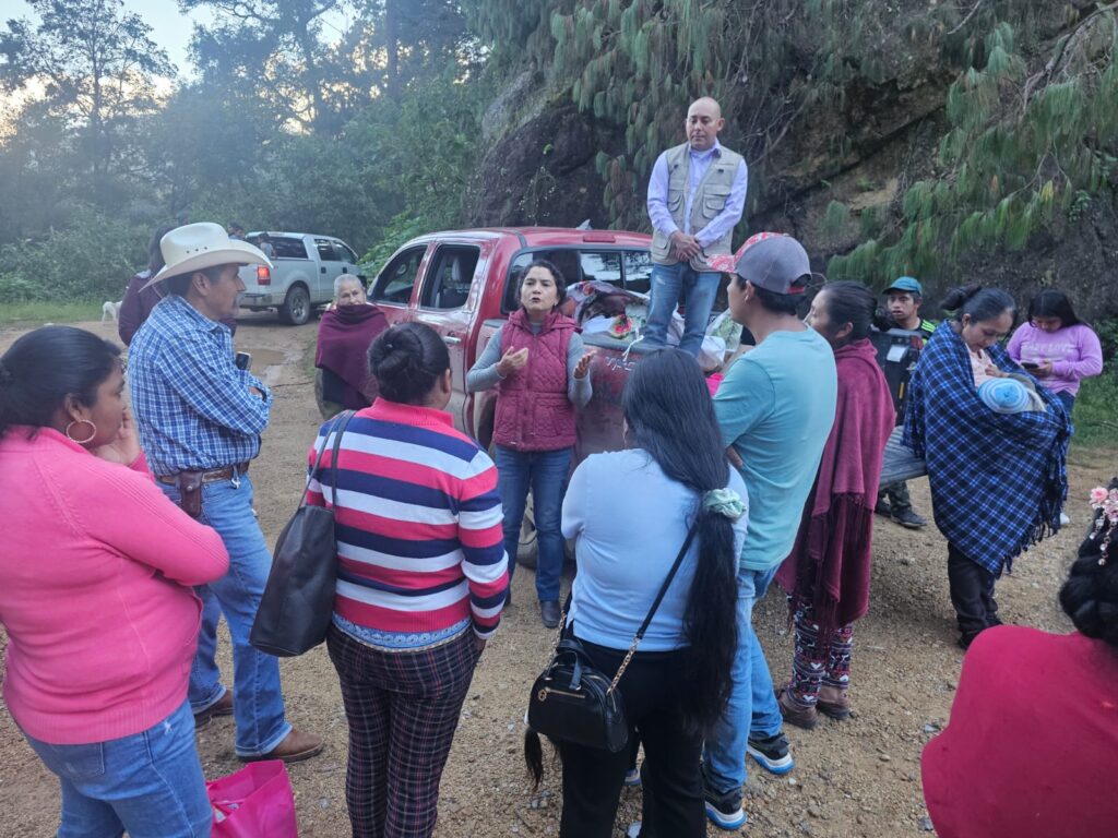 photo 2025 10 14 08 50 13 (3)