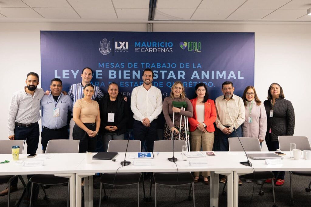 Mauricio Cárdenas comienza mesas de diálogo para fortalecer Ley de Bienestar Animal del Estado de Querétaro