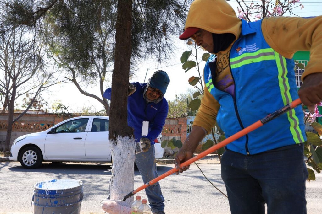 Secretaría de Servicios Municipales realiza jornada de mantenimiento en la comunidad de Arcila