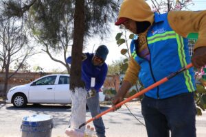 Secretaría de Servicios Municipales realiza jornada de mantenimiento en la comunidad de Arcila