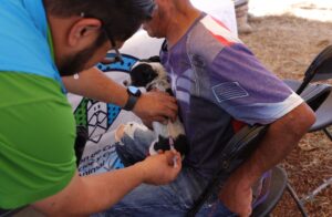 Refuerzan acciones de mejoramiento urbano y bienestar animal en Estancia de Bordos