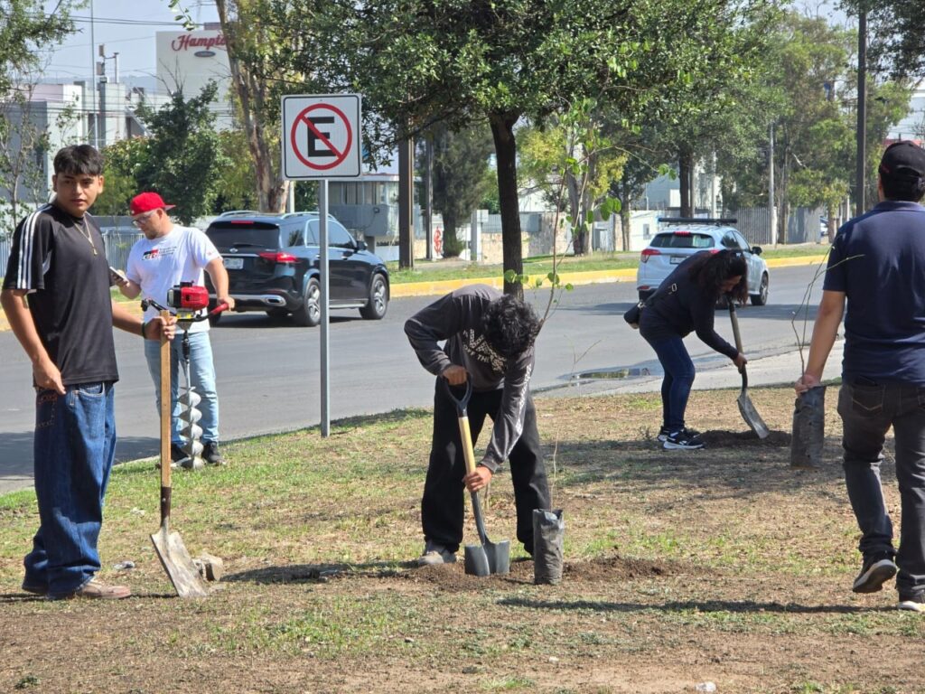 Realizan jornada de reforestación en Paseo Central con apoyo de ciudadanía y sector empresarial