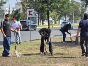 Realizan jornada de reforestación en Paseo Central con apoyo de ciudadanía y sector empresarial