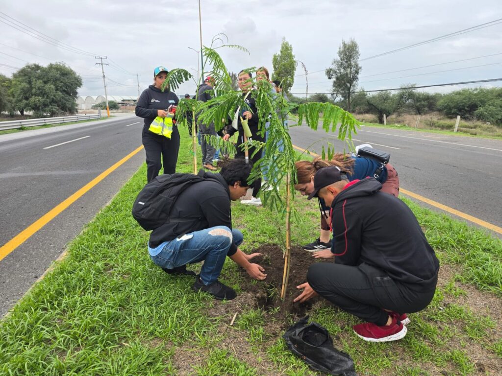 Reforestan camellón frente al Centro Expositor con 200 árboles
