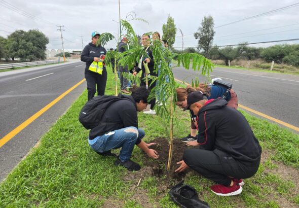 Reforestan camellón frente al Centro Expositor con 200 árboles
