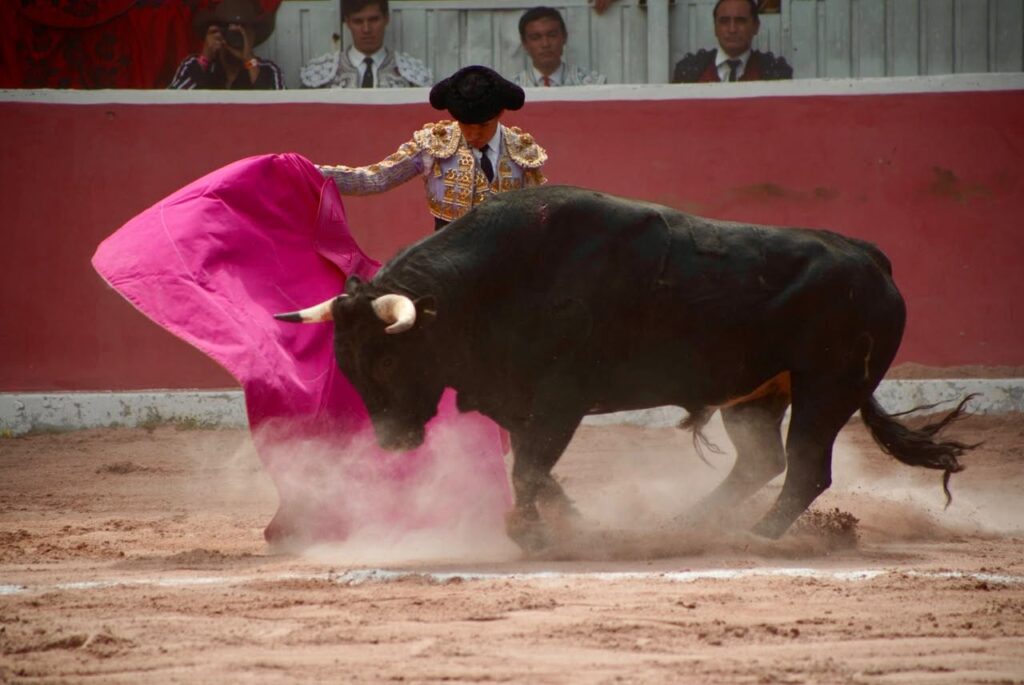 La tradición taurina reunió a la afición en la Plaza de Toros de San Juan del Río