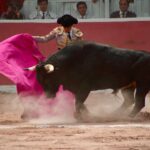 La tradición taurina reunió a la afición en la Plaza de Toros de San Juan del Río