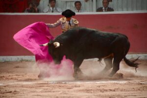 La tradición taurina reunió a la afición en la Plaza de Toros de San Juan del Río