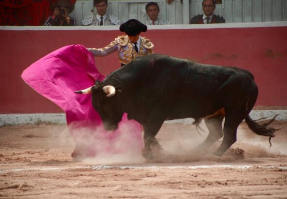 La tradición taurina reunió a la afición en la Plaza de Toros de San Juan del Río