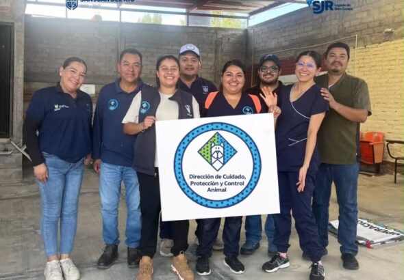 Realizan jornada gratuita de esterilización en Vaquerías; atienden a 30 perros y gatos