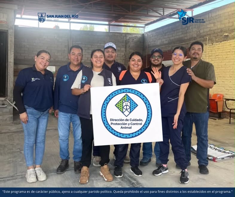 Realizan jornada gratuita de esterilización en Vaquerías; atienden a 30 perros y gatos