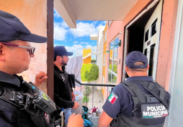 Rescatan a tres perros en Loma Alta; propietario es presentado ante el Juzgado Cívico