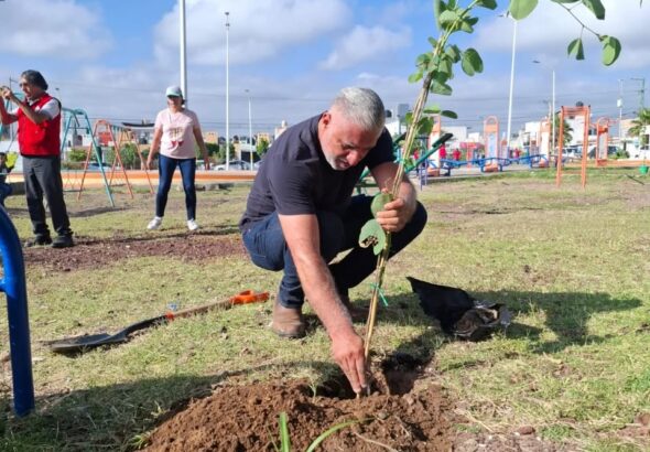 Realizan jornada de reforestación en Praderas del Sol con la plantación de 200 árboles