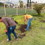 Reforestan áreas verdes de Haciendas de San Juan con 25 árboles