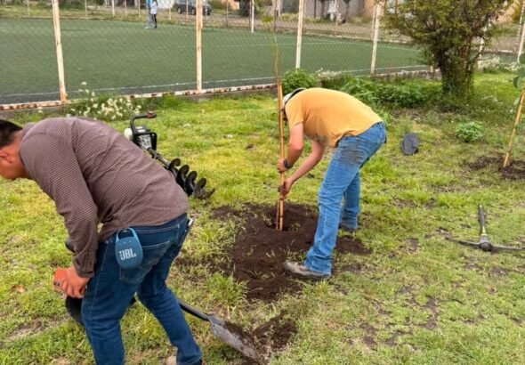 Reforestan áreas verdes de Haciendas de San Juan con 25 árboles