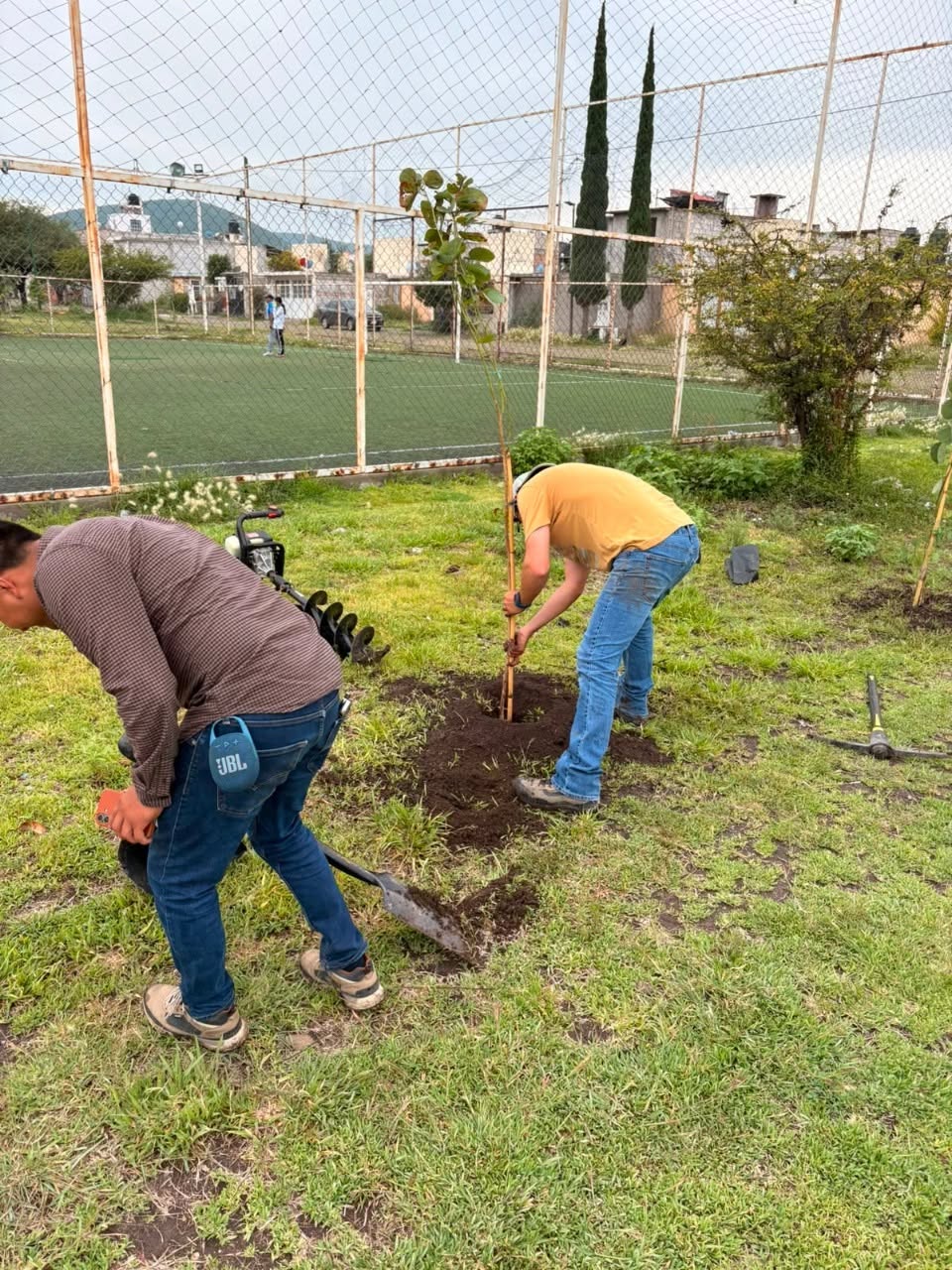 Reforestan áreas verdes de Haciendas de San Juan con 25 árboles