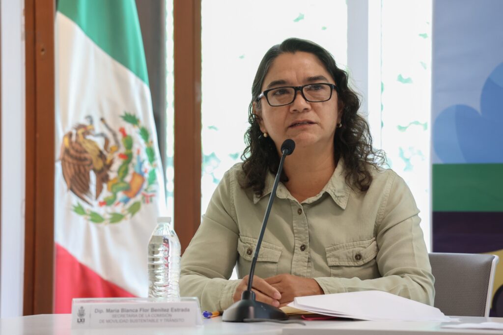 Blanca Benítez exige avanzar en la regulación de grúas y servicios auxiliares de transporte