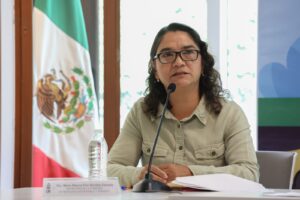 Blanca Benítez exige avanzar en la regulación de grúas y servicios auxiliares de transporte