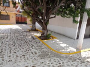 concluyen trabajos de rehabilitación en la calle Cadereyta, en Vegas del Río