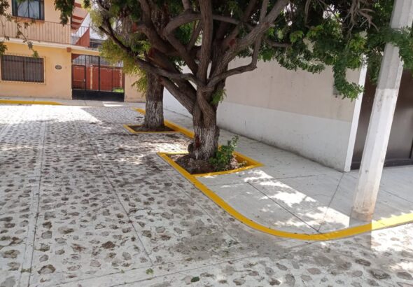 concluyen trabajos de rehabilitación en la calle Cadereyta, en Vegas del Río